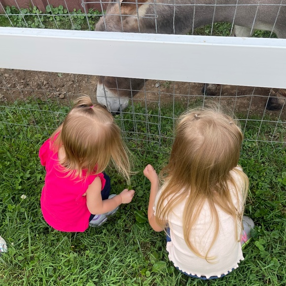 Meet your Posher, Alicia - Picture 1 of 1